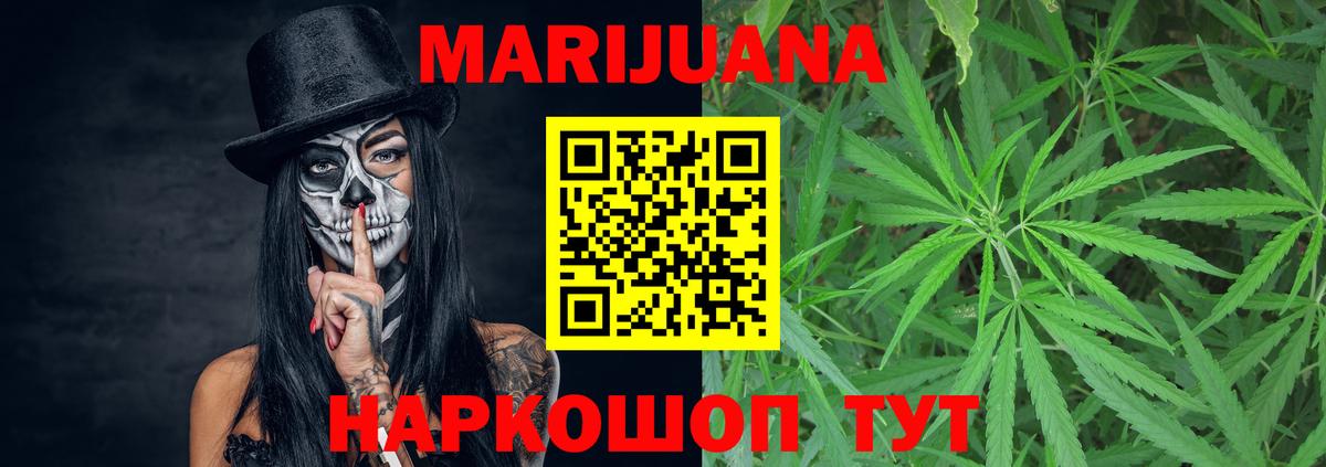 Каннабис сатива  Конопля ГИДРОПОН  Конопля планчик  Конопля OG Kush  Казань  Вход с VPN 